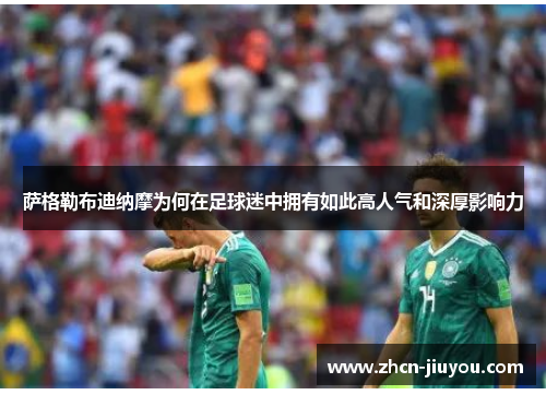 萨格勒布迪纳摩为何在足球迷中拥有如此高人气和深厚影响力