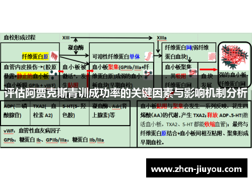 评估阿贾克斯青训成功率的关键因素与影响机制分析